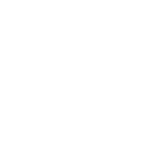 DataDoodle Logo